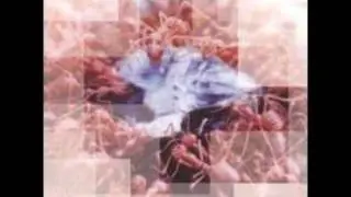 George - Holiday.wmv