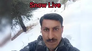 Gold field Hunting Snow Live @Gold field hunting