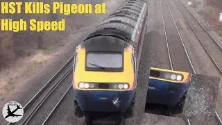 East Midlands Trains HST Obliterates Pigeon at 100mph | Cossington | 24/11/18