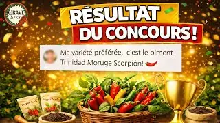 R&eacute;sultat du concours : S&eacute;lection du gagnant des graines de piments 