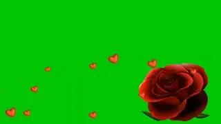 LOVE FLOWER EFFECT GREEN SCREEN