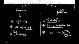 ⚡ Glycolysis | NEET & Class 11 Biology One Shot