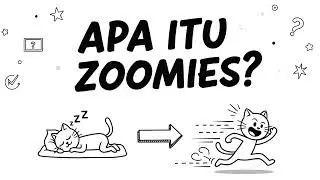 Kenapa Sih Kucing Tiba-Tiba Lari Kencang di Rumah? | Penjelasan Ilmiah & Fakta Unik
