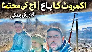VillageLife #VillageVlog #GaoonKiZindagiاکھروٹ کا باغ کاٹ دیا | گاؤں میں آج بڑی محنت