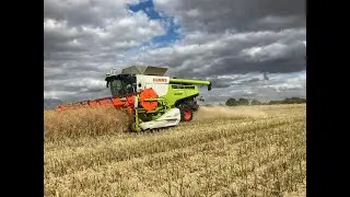 Bedfordia Harvest 2022 footage by Simon Wantling with a drone