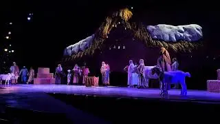 O’Wondrous Night SeaWorld Orlando Act VI