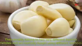 Garlic can fight chronic infections||garlic benefits||Health tips,natural medicine