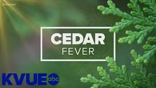 Cedar fever, the flu or COVID-19? Explaining the differences in symptoms | KVUE