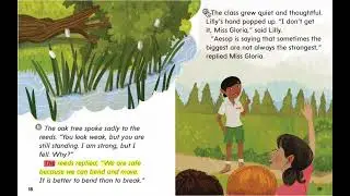 Garden Stories