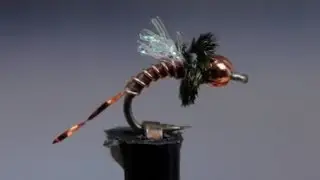 Copper Zebra Midge