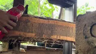 satisfying wood carving videos, Perfect Table Saw, Sharp Blade,Perfect Cut, Satisfying Wood ASMR