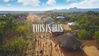 This is Iris