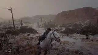 🚫🤠[PLAY] - REC - RDO | study in hats