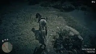 Red Dead Redemption 2 Study Toad for Animal Compendium