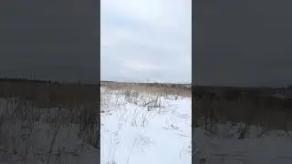 🌾❄❄❄(5)