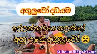 කලංදෝ අල්ලන්න ගිය අපිට වෙච්ච දේ. 🐟🐟🫠/ කඩොල් මට්ටි .  