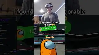 Самый очаровательный среди нас VR-плеер всех времен