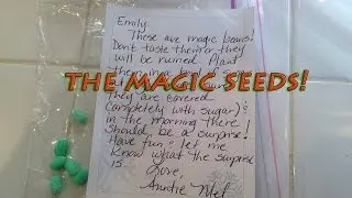 Magic Seeds!
