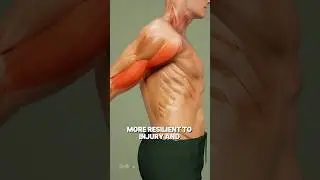 Реакция вашего тела на поднятие тяжестей💪