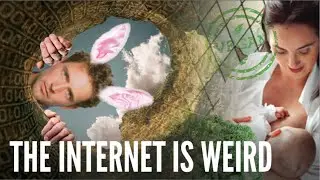 The Internet Is Weird: Vegans, Dogs in Costume and Mike Tyson