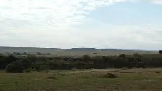 P1030098