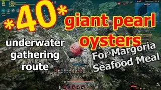 Black Desert - 40 Giant Pearl Oyster Gathering route, shrimps and lobsters