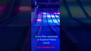 Snow flow Mountain at Gaylord Palms ￼