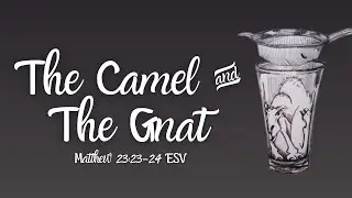 The Camel & The Gnat Robert Simpson