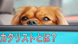 カタリストとは何か？わかりやすく解説
