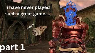Morrowind with a someone who has never played this game before
