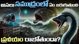 Whats Wrong In Oceans? | Doomsday Fish Oarfish || Prince Facts in Telugu