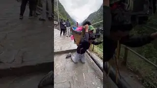 #kedarnath pithu yatra | पिट्ठू यात्रा #youtubeshorts #sanatandharma #chardhamyatra #kedarnathyatra
