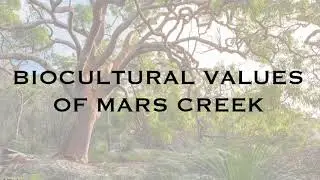 Biocultural Values