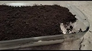 Easy recipe for an Oreo Dessert.#oreorecipes