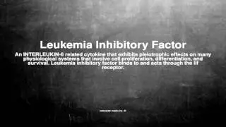 Medical vocabulary: What does Leukemia Inhibitory Factor mean