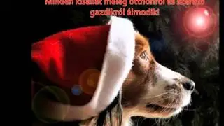 Mentsv&aacute;r az &Aacute;llatok&eacute;rt Alap&iacute;tv&aacute;ny 2014 kutyakar&aacute;csony