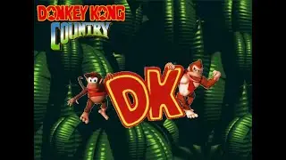 Donkey Kong Country  : Pro Action Replay Codes (DKC Player Archive)