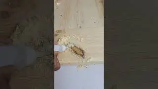 #DIY wood knot repair