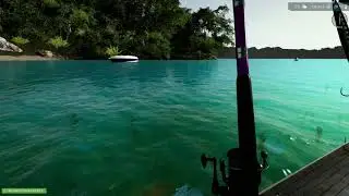 Ultimate Fishing Simulator - Pinas Bay Makrelen und Hahnenbarsch