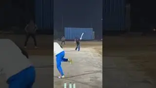 No look Shot #cricket #nature #viralshorts #psl #ipl #cpl #lpl #acb #acc #icc #ecb #pcb