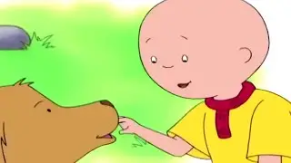 Caillou és a Vakvezető Kutya | Caillou Magyarul - WildBrain