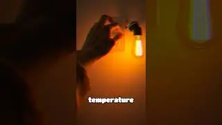 Simple Home Life Hacks That Feel Expensive #Shorts