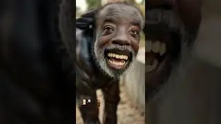 5 million Views || Funny Videos Compilation 