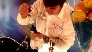 Botanic GIn Show Madrid 2013