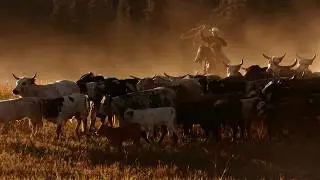 Systems in Focus: Agriculture