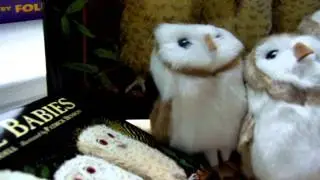 Folkmanis Puppets Revises Barn Owl Finger Puppet in May 2011