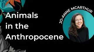 Animals in the Anthropocene | Jo-Anne McArthur