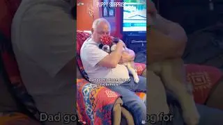 The best surprise #dog #funny #gift #doglove #pets #puppy