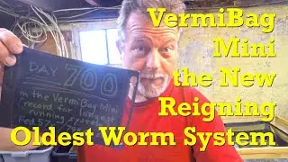 Day 700 in VermiBag Mini w red wiggler worms, matching system age record - vermicompost