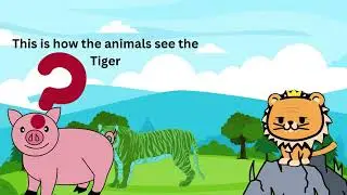 Tiger Adaptations